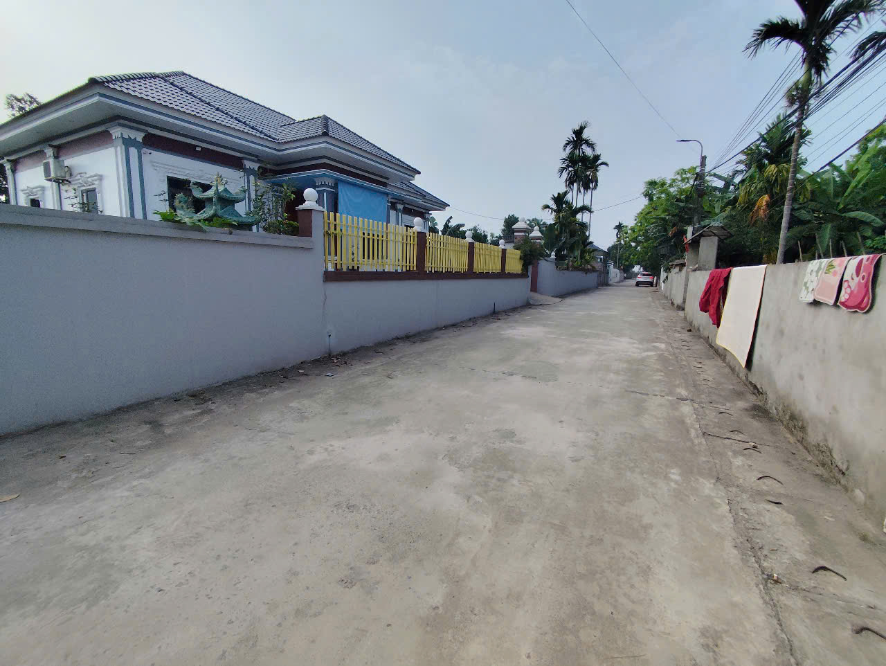 Bán 650M bám sông Đà siêu đẹp_250M thổ cư đường 2 ô tô tránh_Ba Vì Hà Nội_3,x tỷ - Ảnh 2